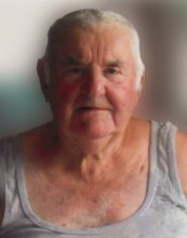 Louis Vervoort